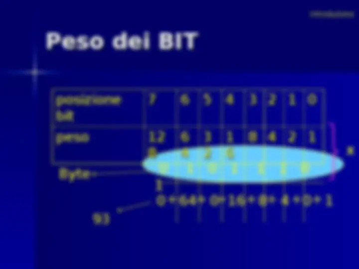 pf24