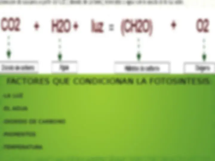 pf4