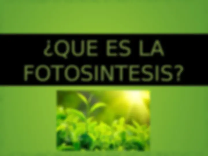 pf3