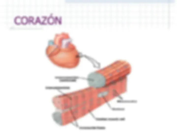 pf2f