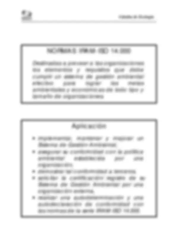 pf21