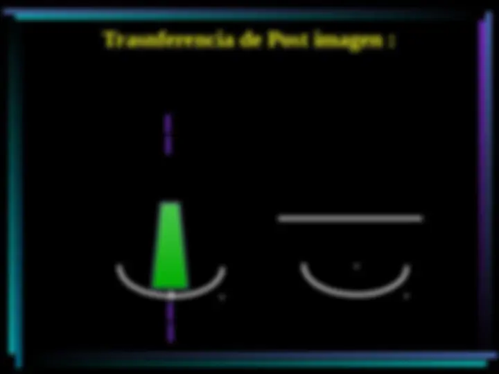 pf1d