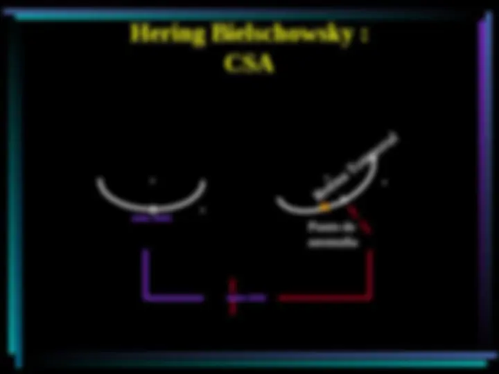 pf31