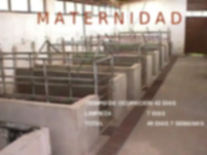 pf14