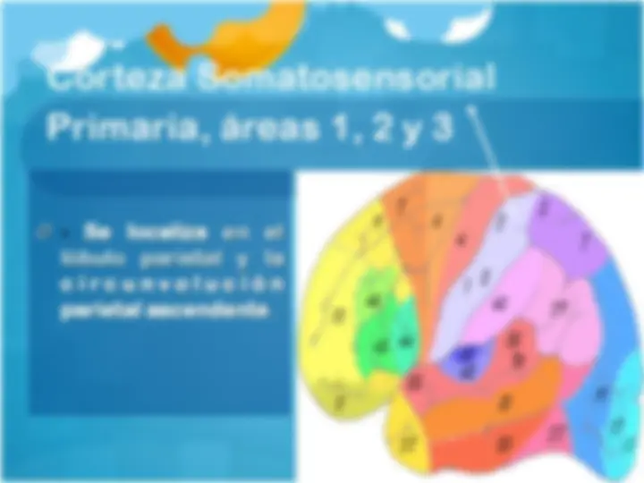 pf4