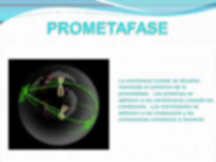 pf15