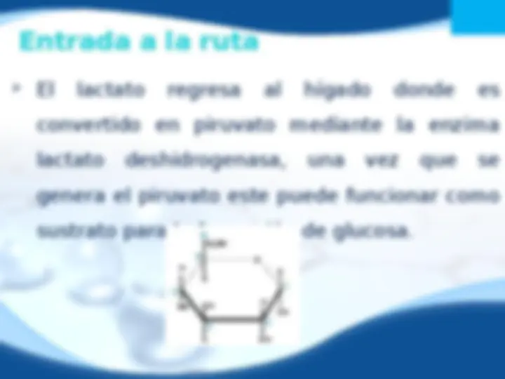 pf1e