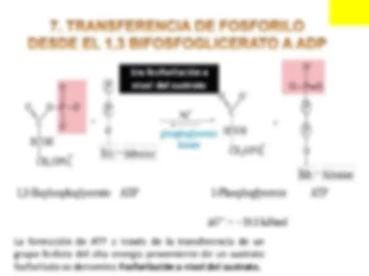 pf13
