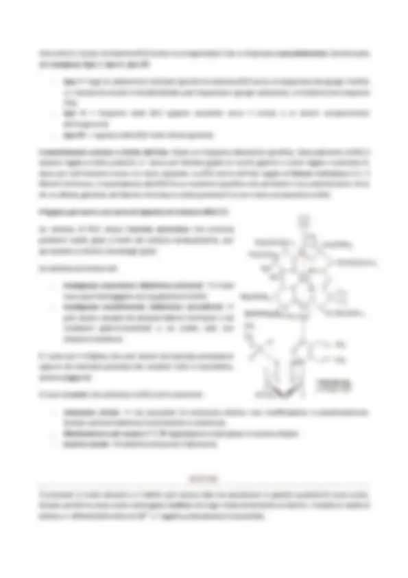 pf2e