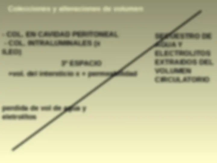 pf12