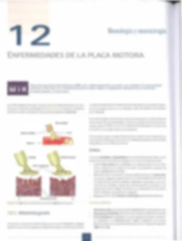 pf42