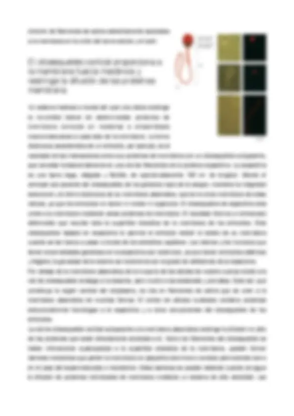 pf1a