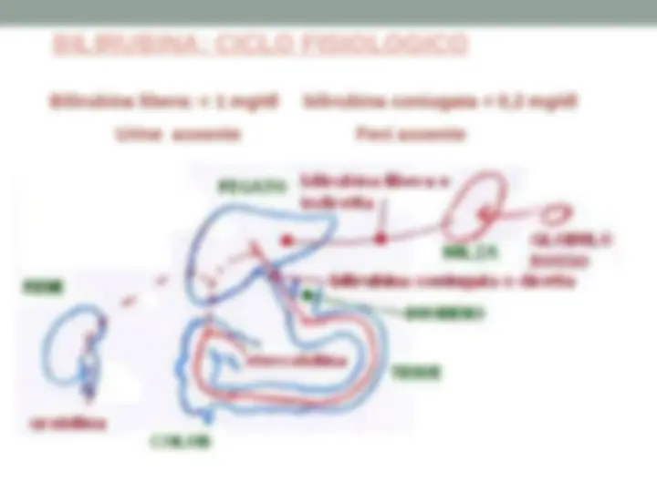 pf26