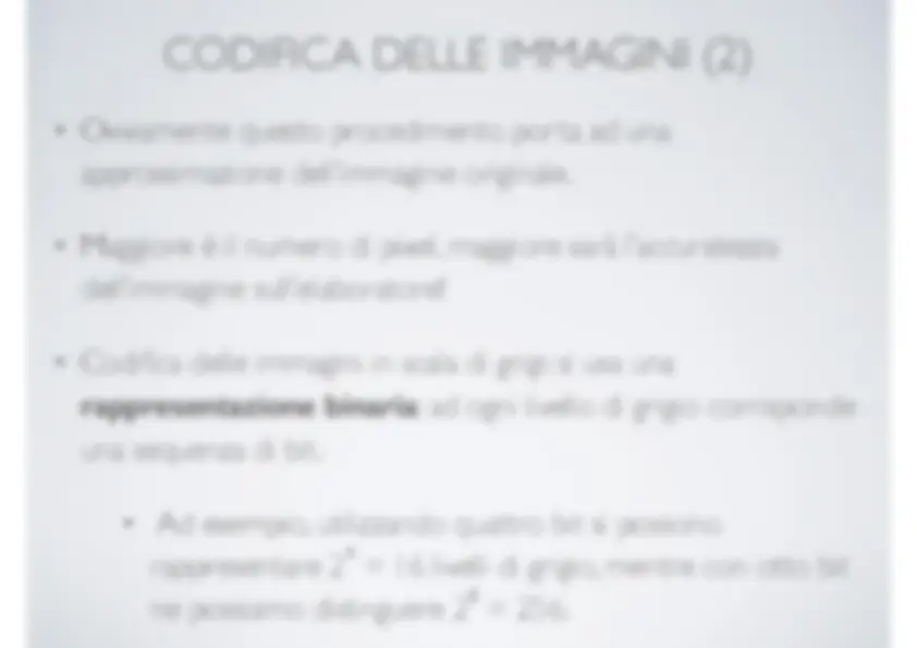 pf23