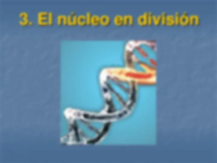 pf1e