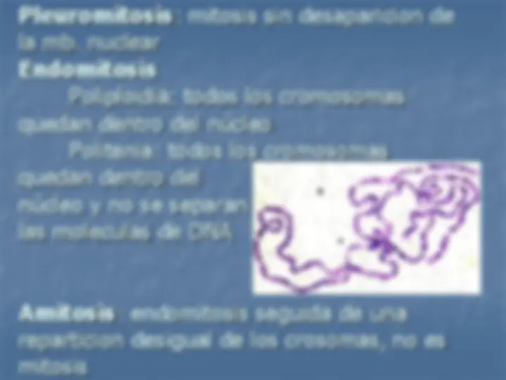 pf37