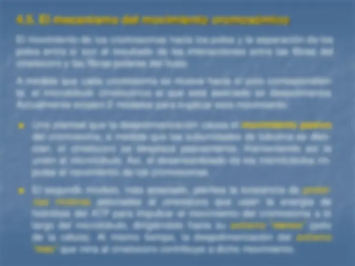 pf2e