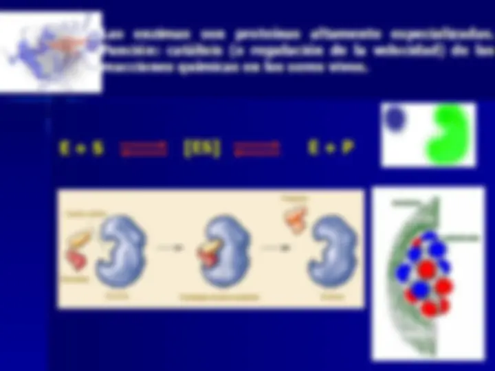 pf4