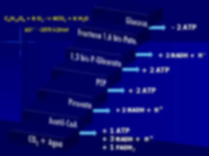 pf3