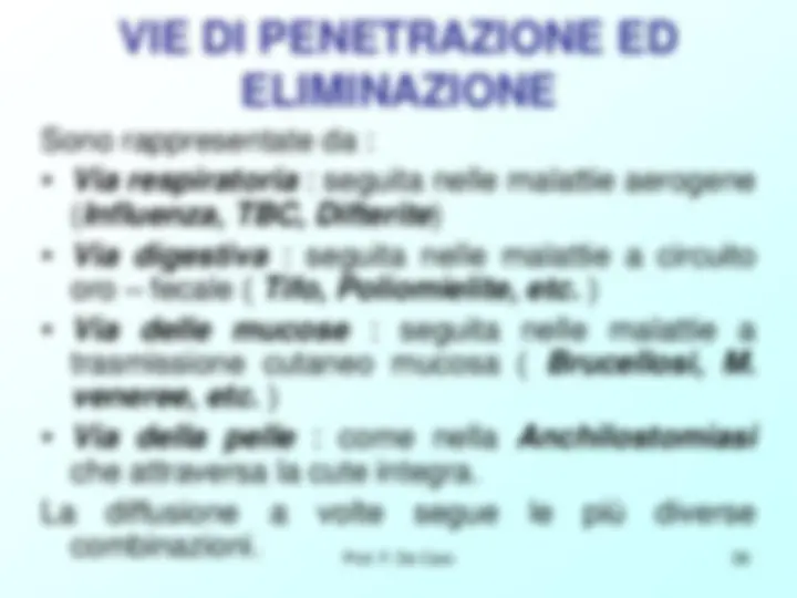 pf26