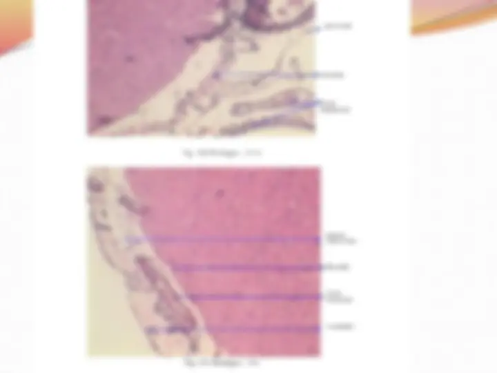 pf3a