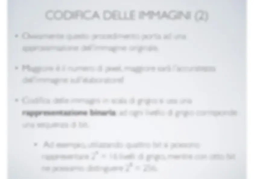 pf21