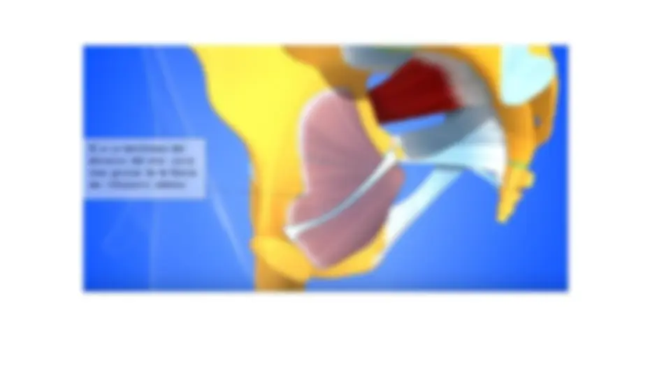 pfe