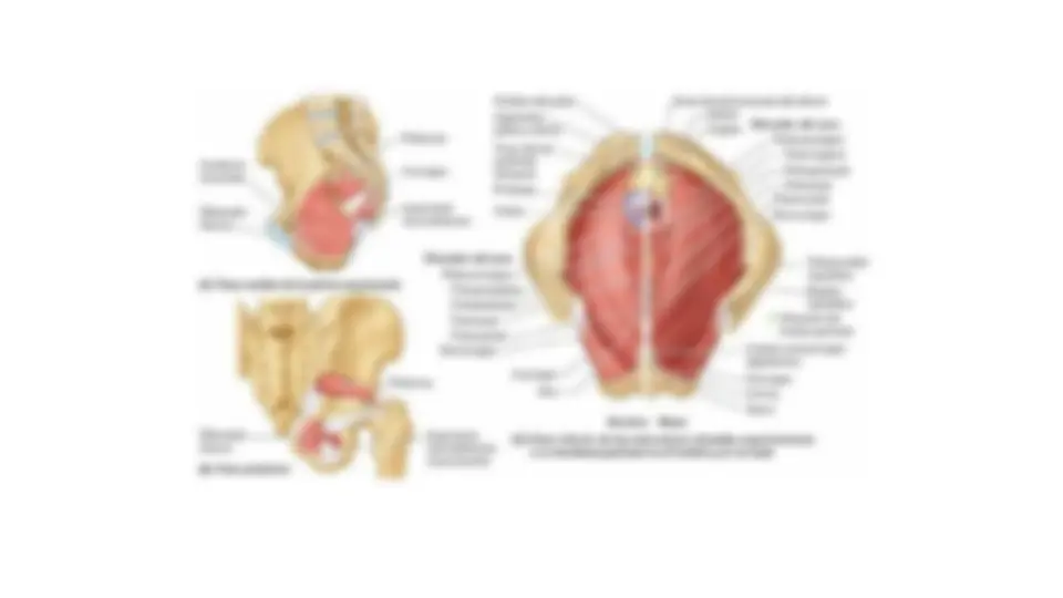 pf4