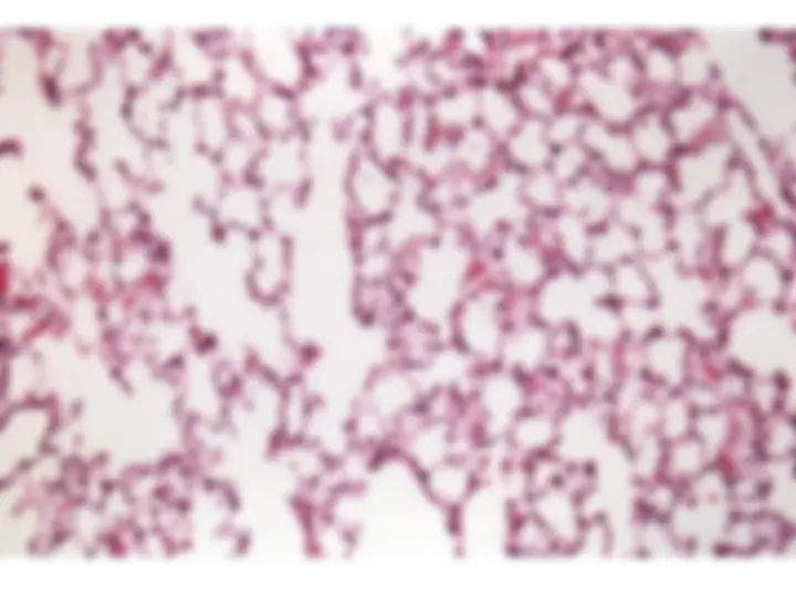 pf8