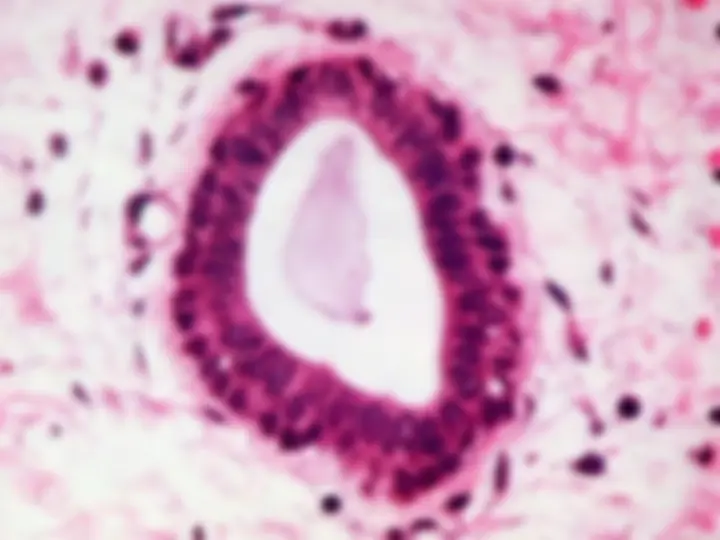 pf1a
