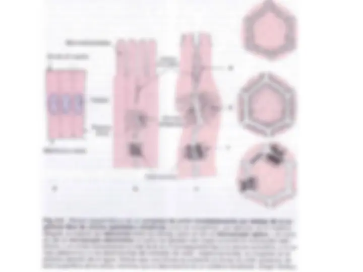 pf3c