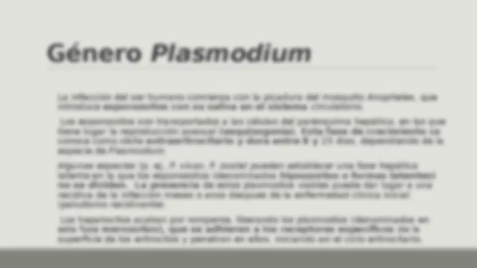 pf27