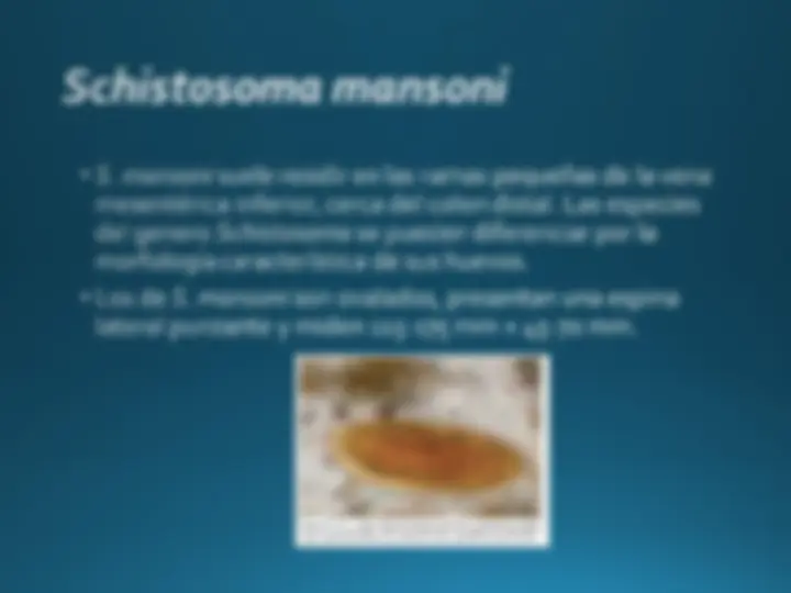 pf1b