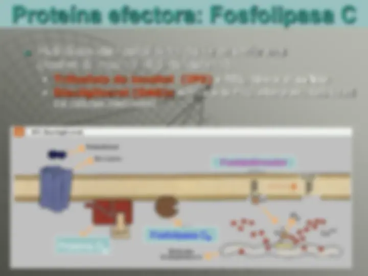 pf2a