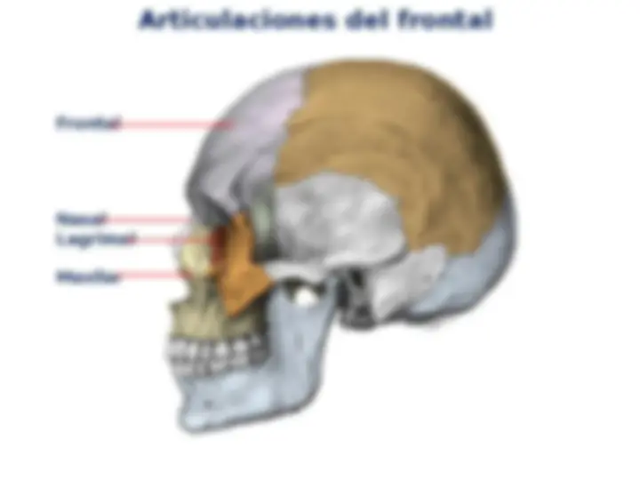 pf18