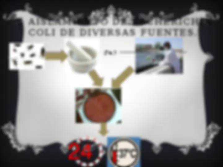 pf19