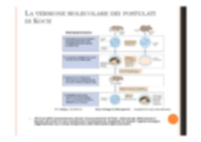 pf1b