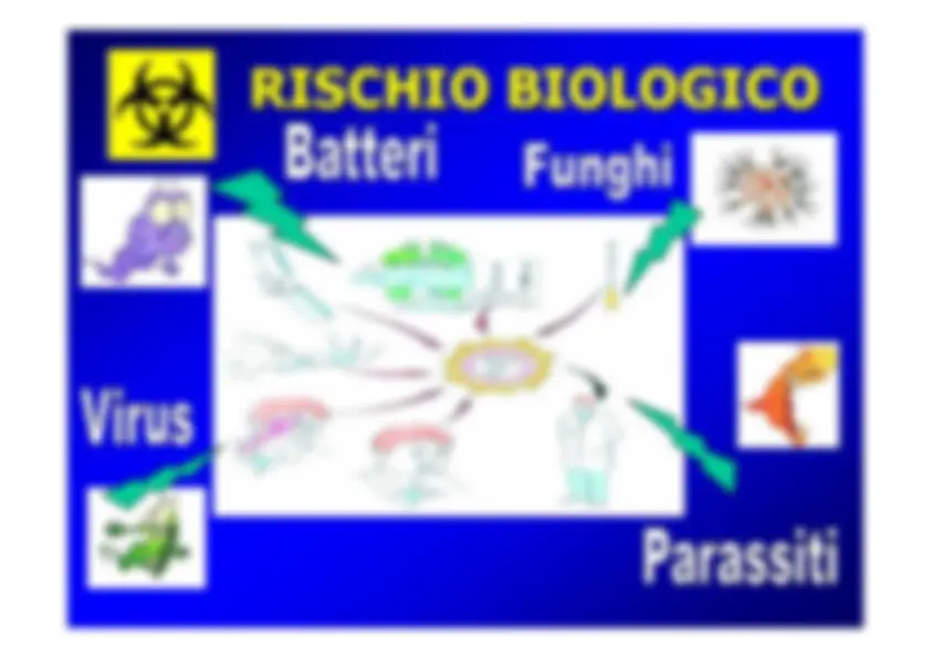 pf19