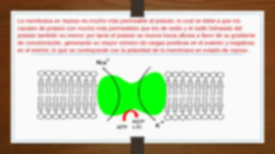 pf13