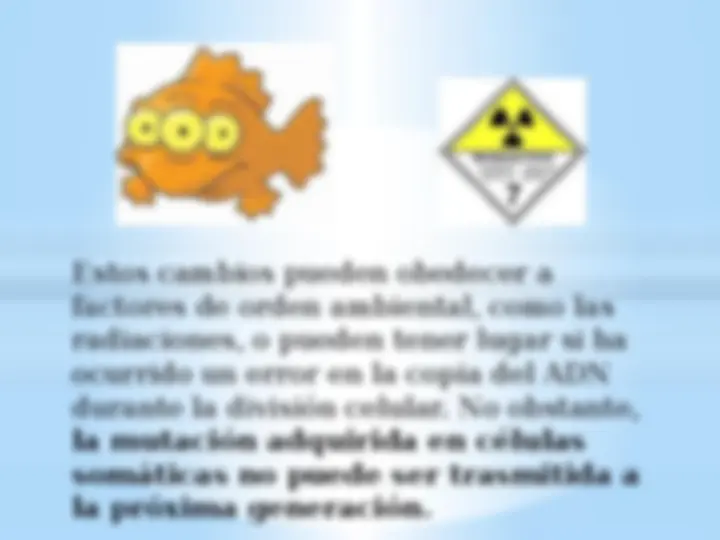 pf19