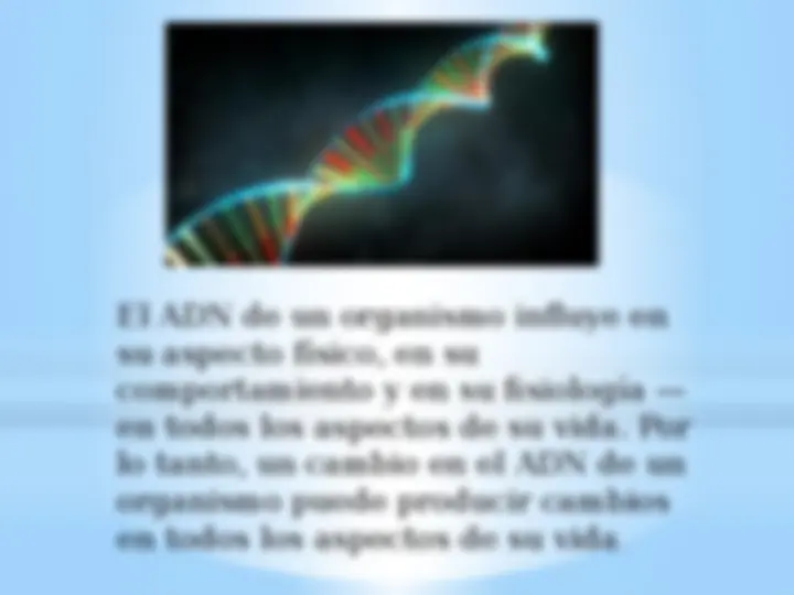 pf3