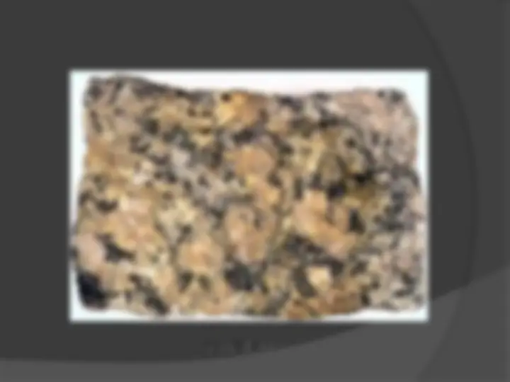 pf61