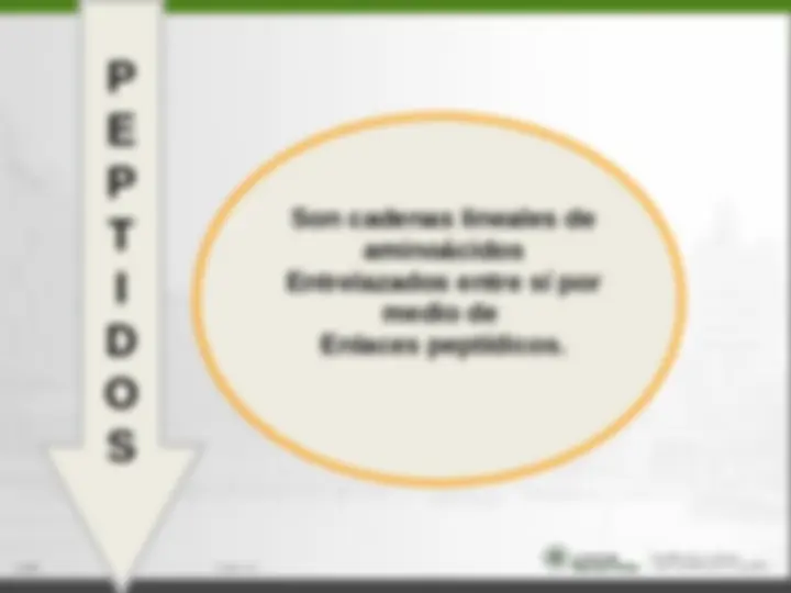 pf15