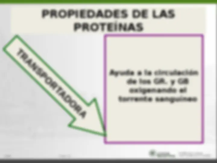 pf1b