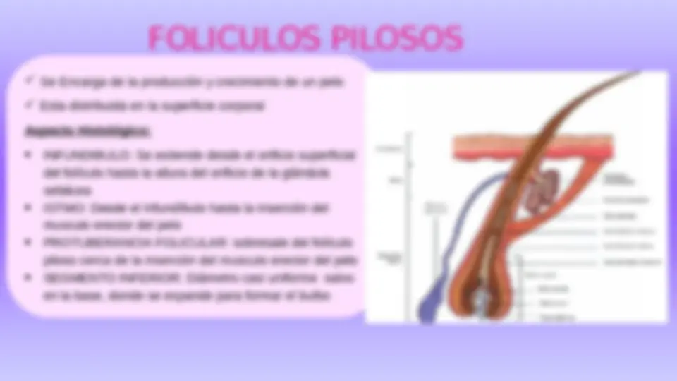 pf15