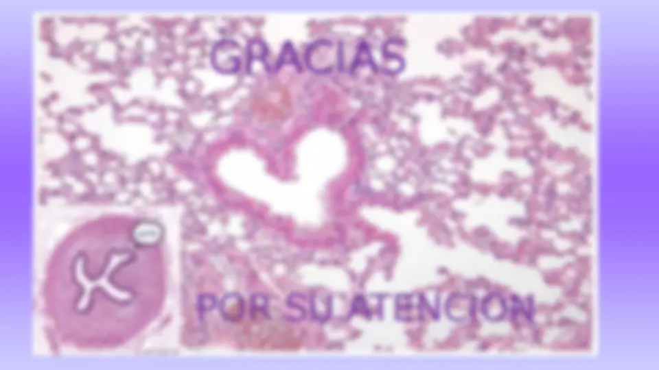 pf28
