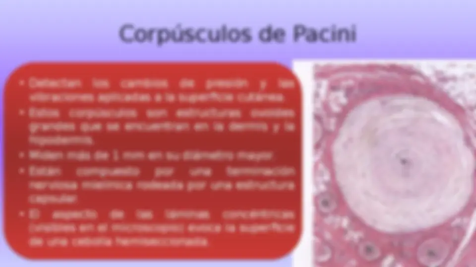 pf21