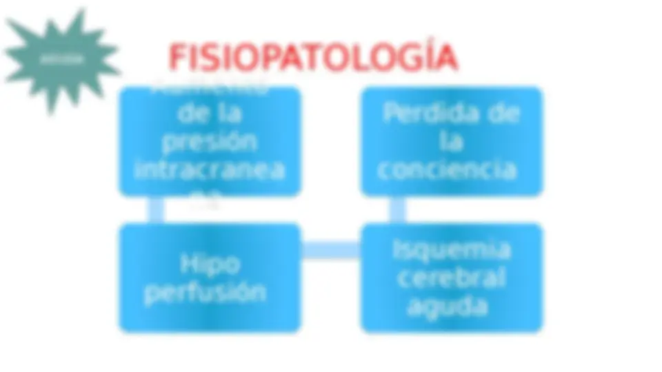pf19