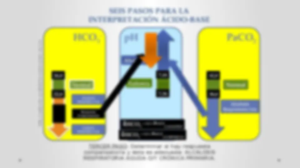 pf13