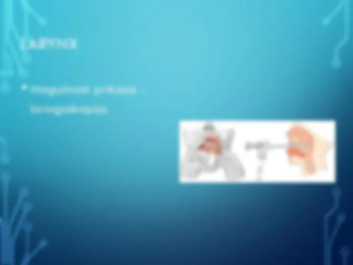 pf17
